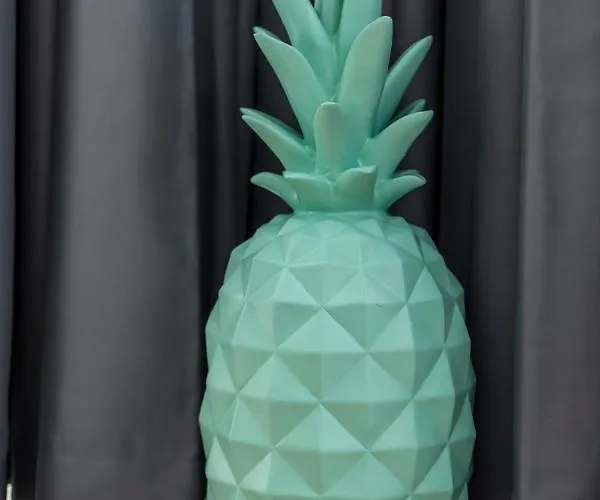 Cooper L Mavik Loft & Appartement